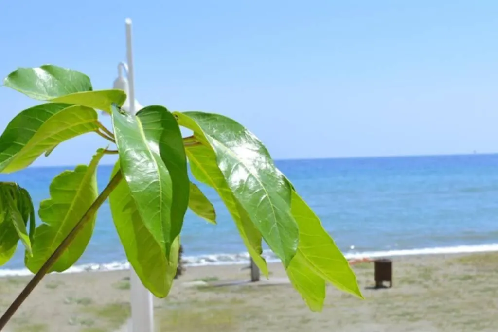 Sunny Apartment Near The Beach. Rincón de la Victoria Spanien